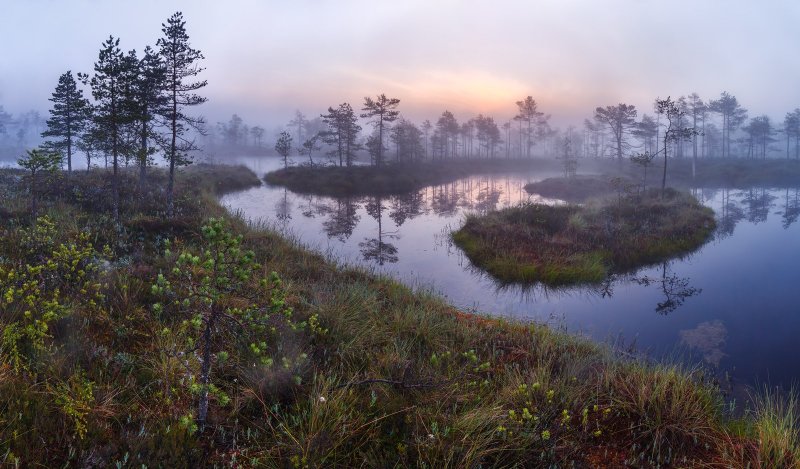 Патран болото в Кировской области
