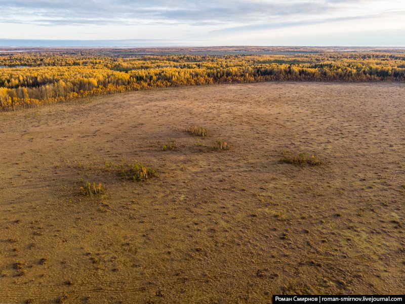 Неодолимое болото Ленинградская область