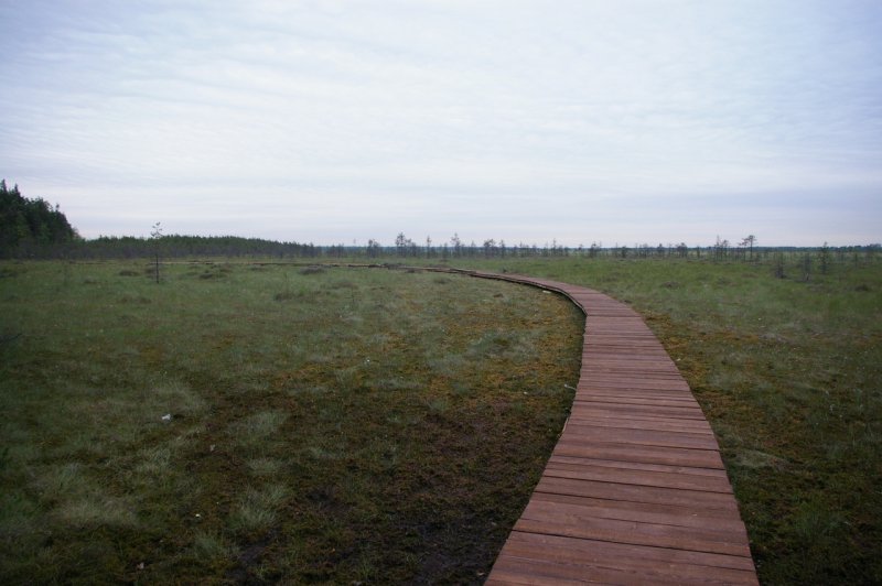Экотропа Сестрорецкое болото