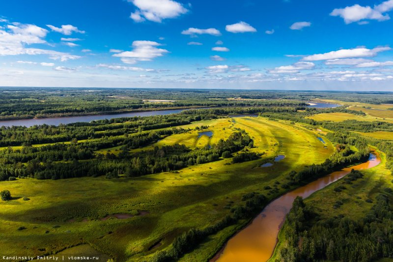 Васюганские болота панорама