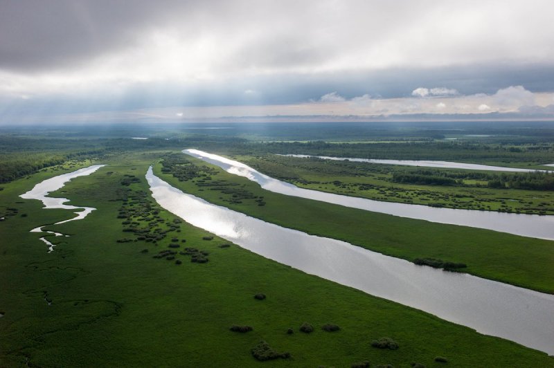 Васюганские болота, Сибирь