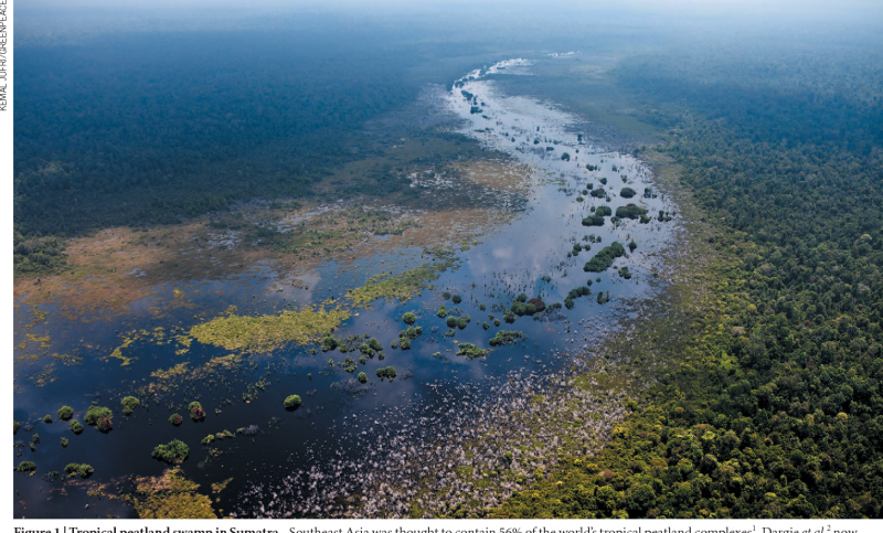 Самое большое болото в Африке