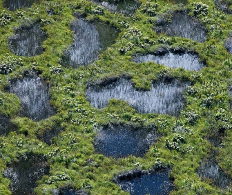 Нилоты живут на болоте