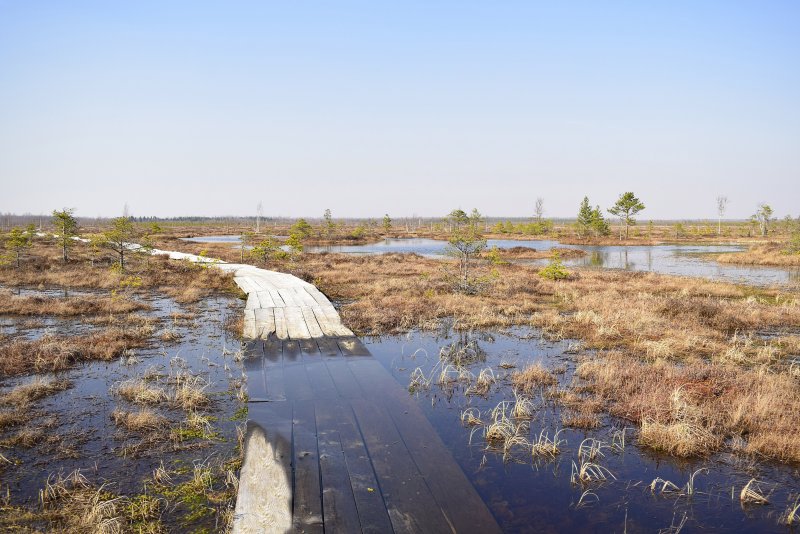 Кемерские болота Латвия