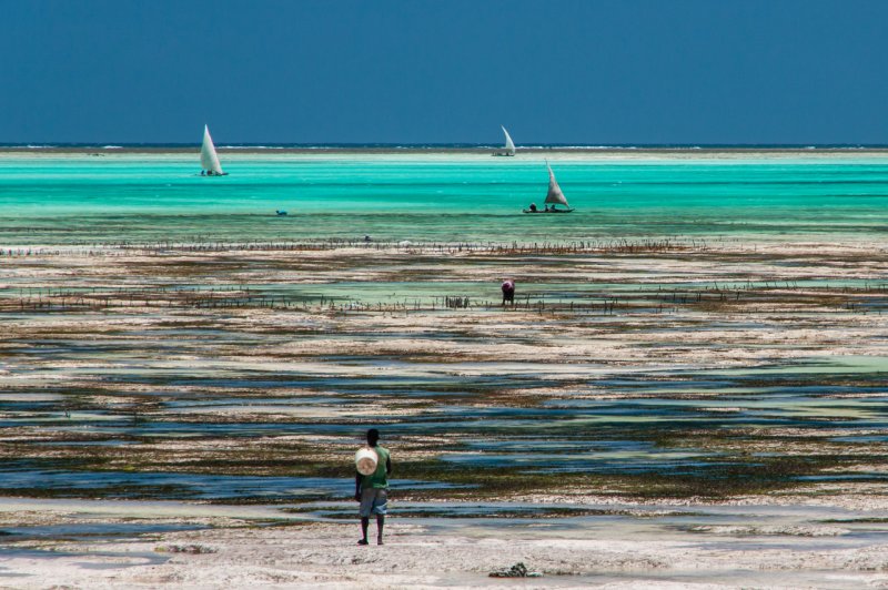 Zawadi Zanzibar 5*
