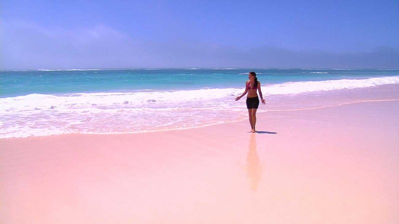 Розовый пляж Индонезия