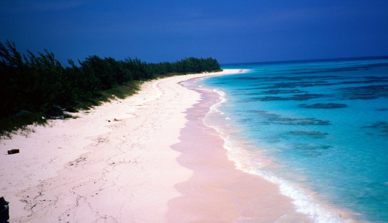 Харбор Багамы