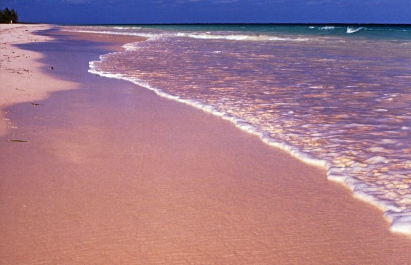 Филиппины розовый пляж