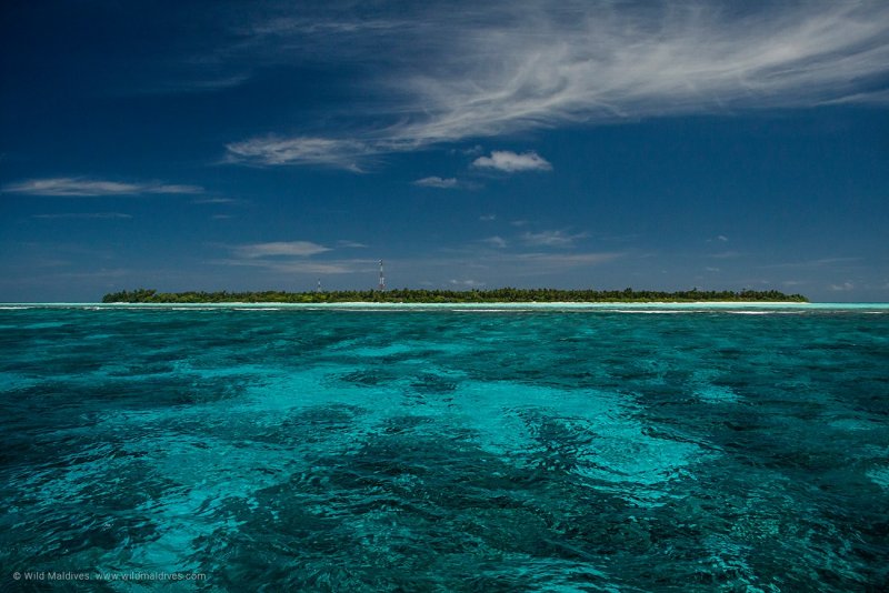 Остров Тодду Мальдивы фото пляж