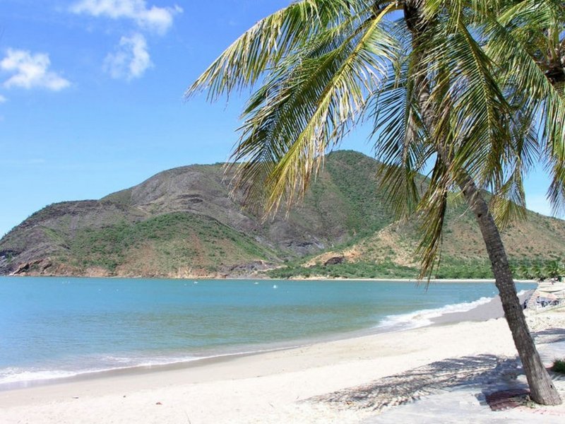 Остров Маргарита пляж с пальмами