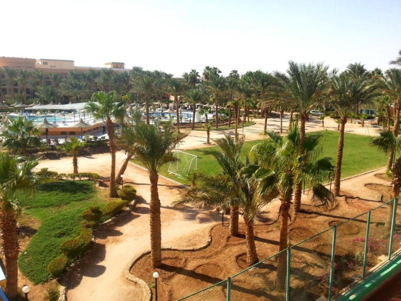 На каком курорте Египта лучше зимой