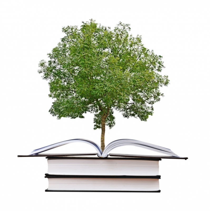 Дающее дерево книга. Дерево с книгами. Дерево знаний. Дерево с книжками. Дерево книг без фона.