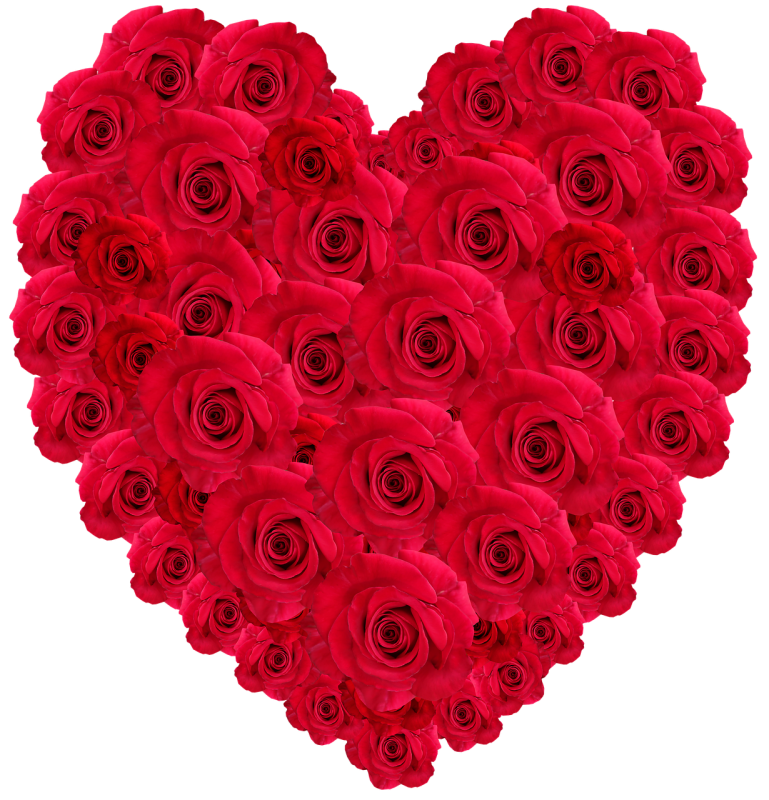 Сердечки красные розовые. Розы в сердце. Сердечко из роз. Букет роз сердце. Сердечко из розочек.