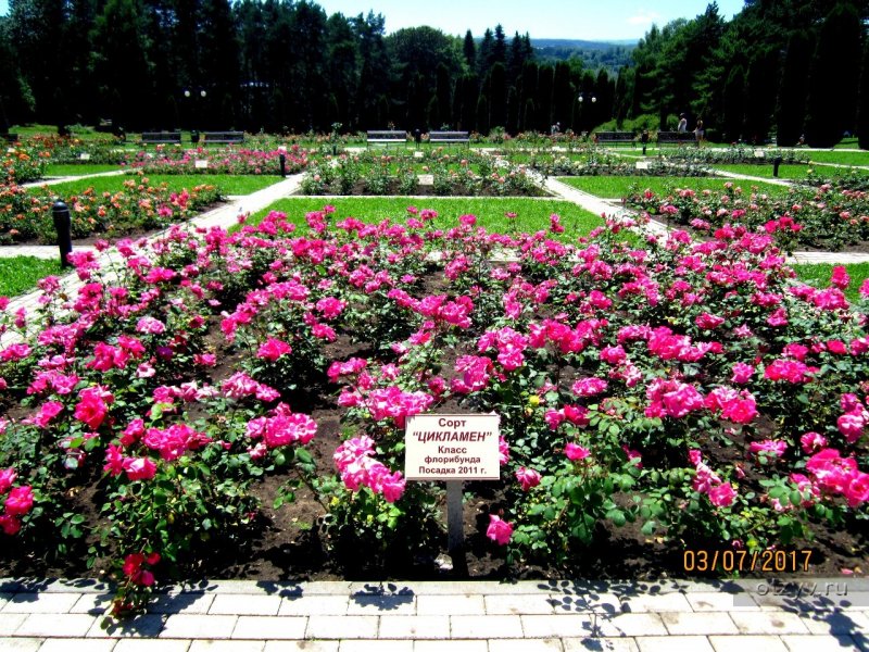 Долина роз в Кисловодске в Кисловодске