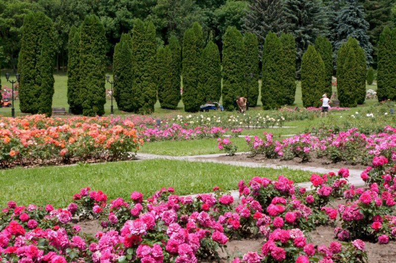 Кисловодский Курортный парк Долина роз