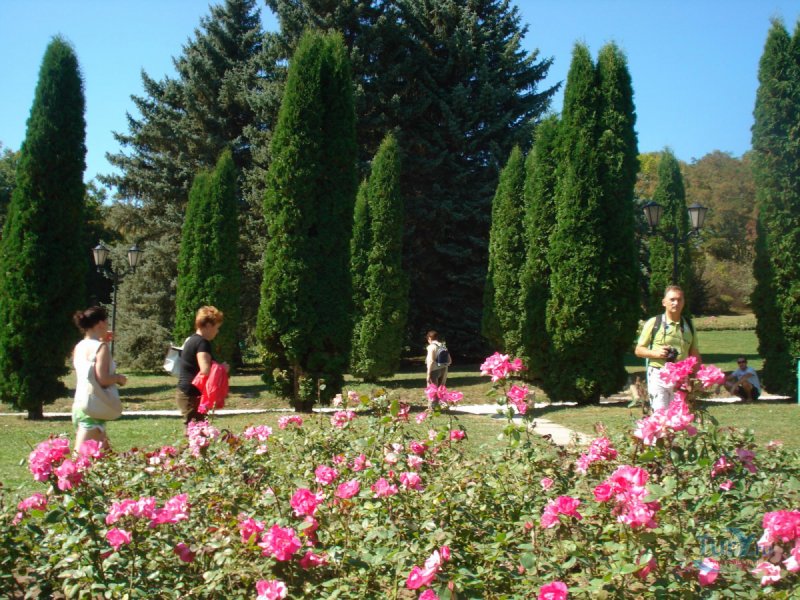 Кисловодский Курортный парк Долина роз осенью
