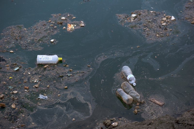 Биологическое загрязнение океана фото