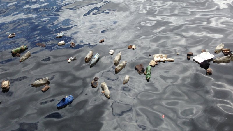 Биологическое загрязнение океана фото