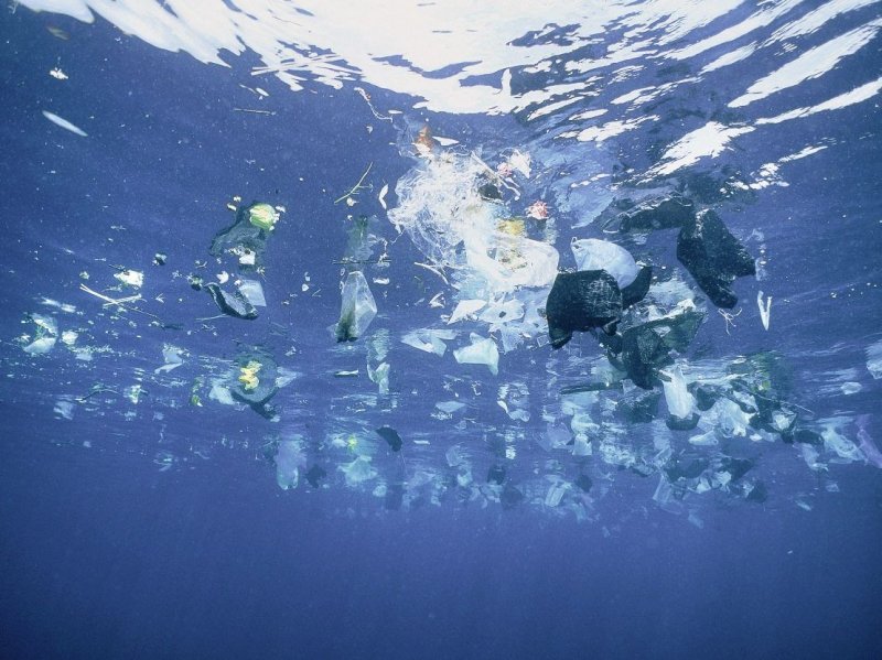 Пластик в океане. Пластик в мировом океане. Игра катастрофа в океане ответы. Codeko - Ocean. Океаны окружающие россию