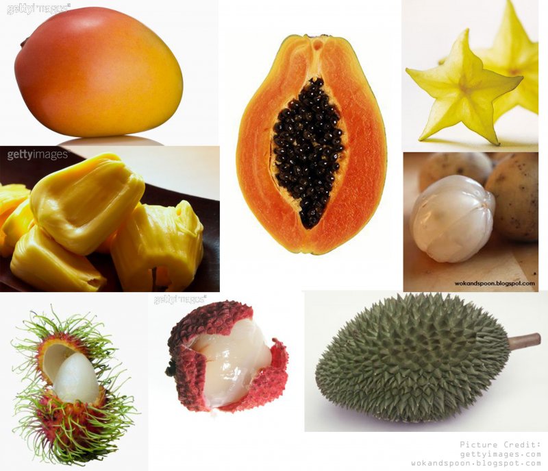 Тропические фрукты список названий и фото