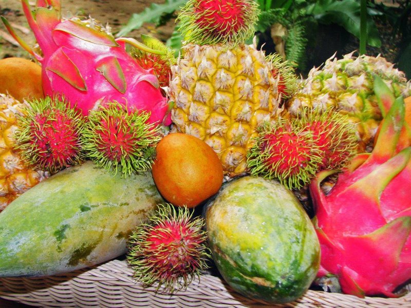 Тропические фрукты фото с названиями вьетнама