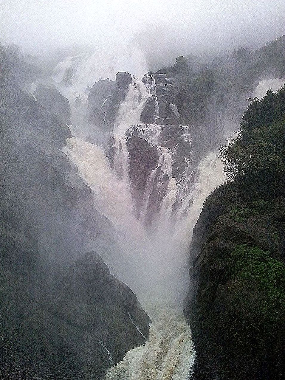 Дудхсагарский водопад Гоа