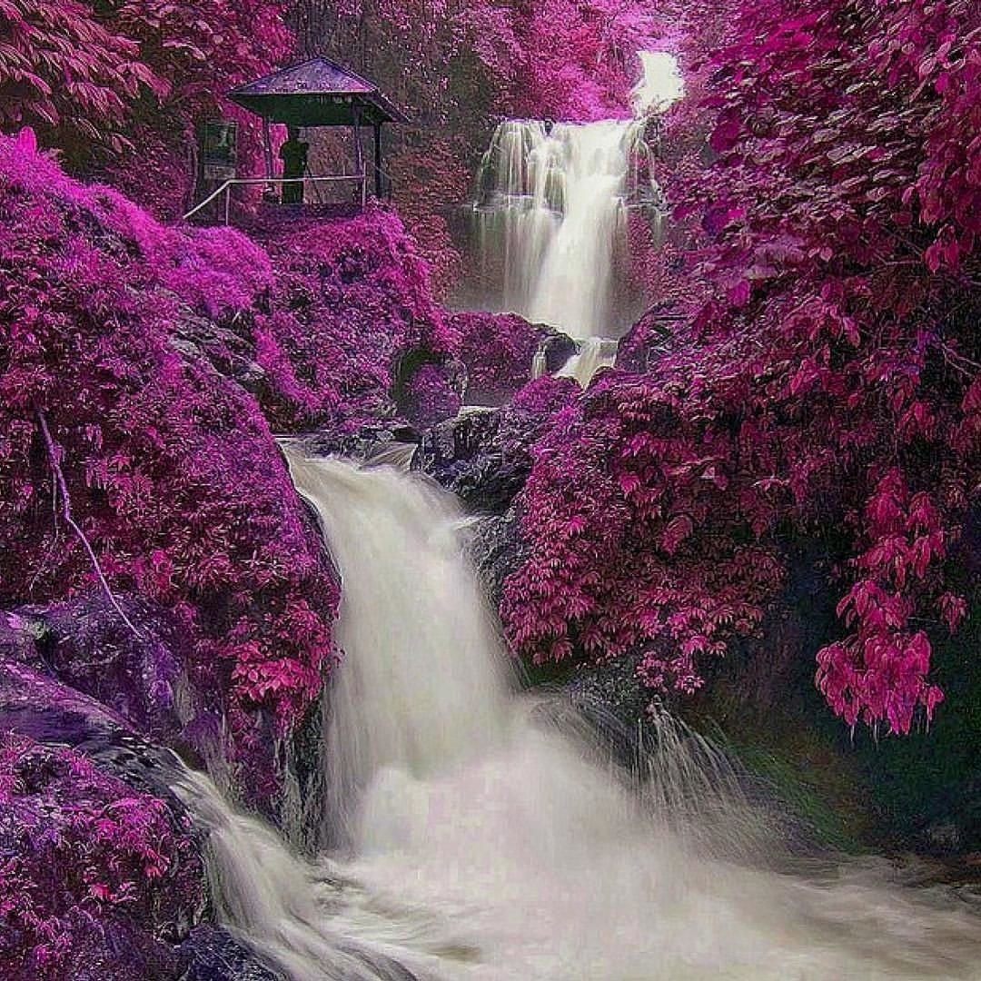 Сакура и водопад