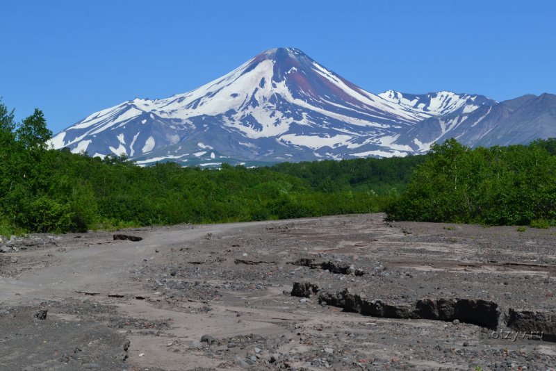 Массовое восхождение на Авачинский вулкан