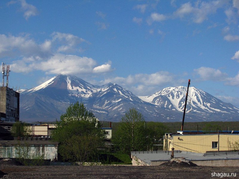 3 Домашних вулкана Петропавловск Камчатский