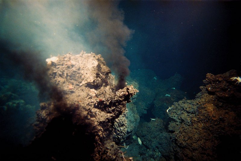 Гидротермальные источники черные курильщики