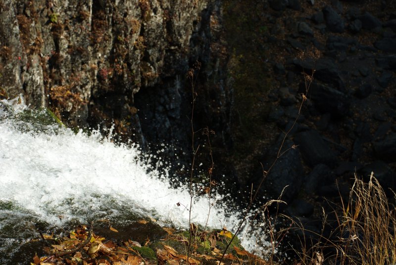 Водопад горбатый Приморский