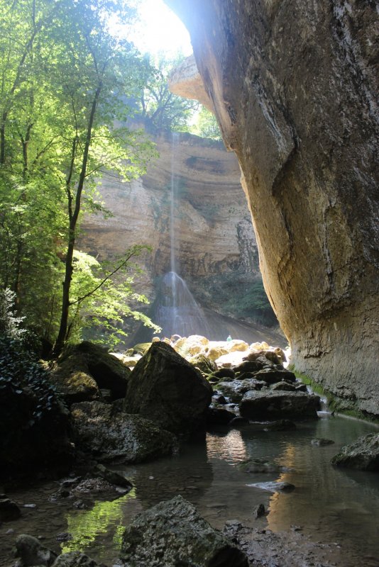 Самшитовый лес и Шакуранский водопад