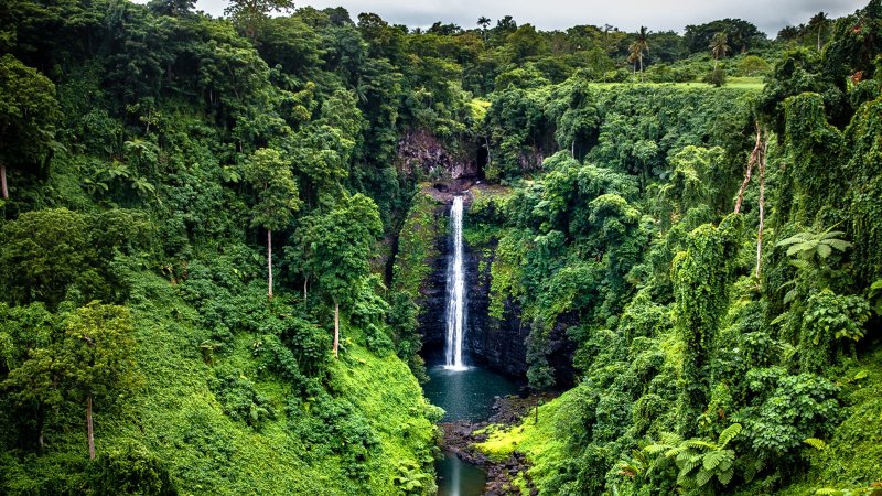 Амазонские джунгли тропический водопад