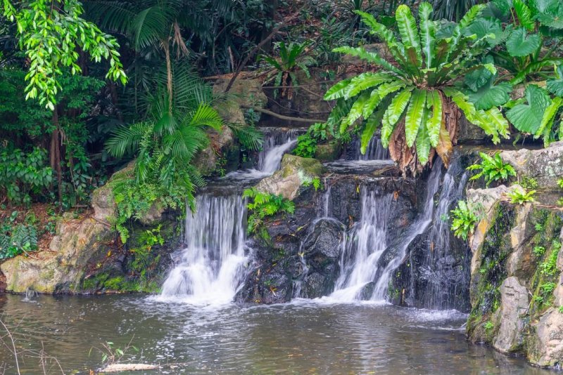 Филиппины джунгли самые водопады