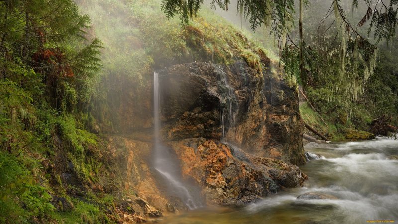 Река с водопадом в джунглях