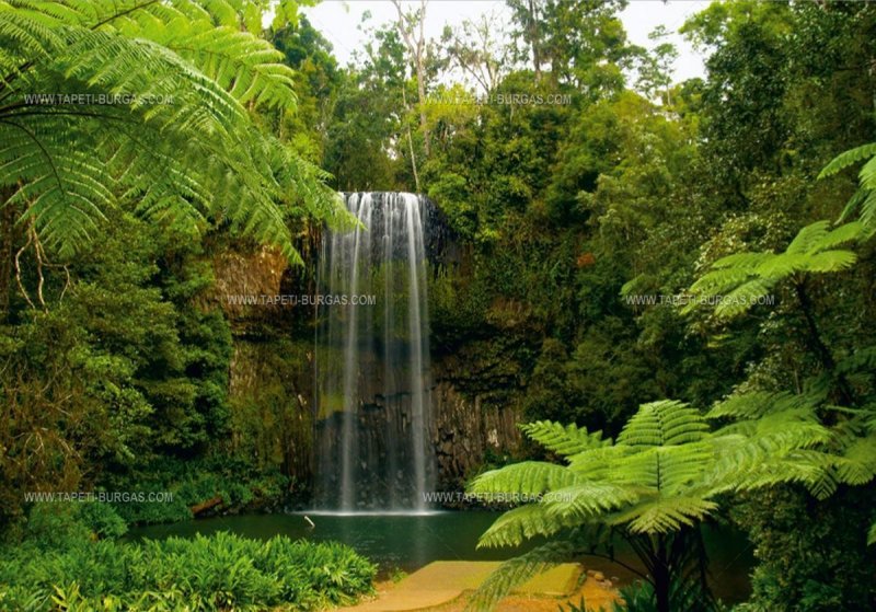 Красивые водопады в джунглях