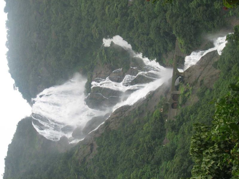 Водопад Гоа молочная