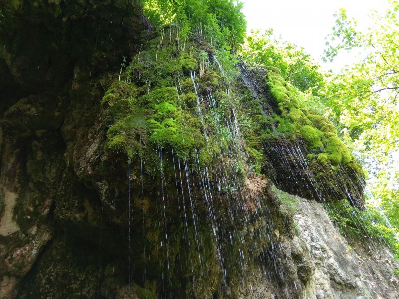 Водопад девичьи слезы Абхазия