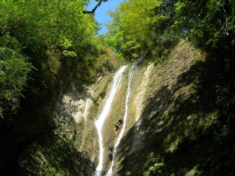 Агурские водопады Самшитовая роща
