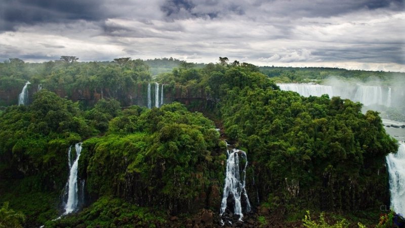 Национальный парк Игуасу Флора