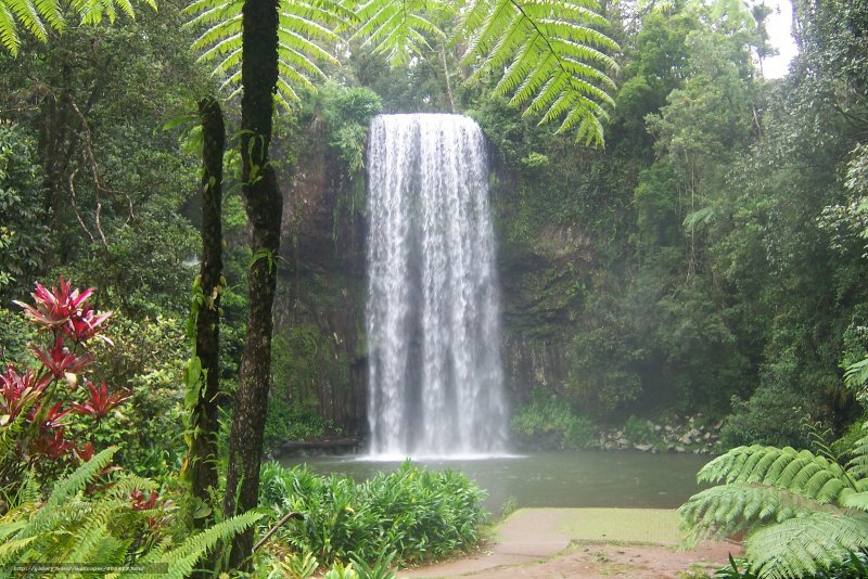 Красивые водопады в джунглях