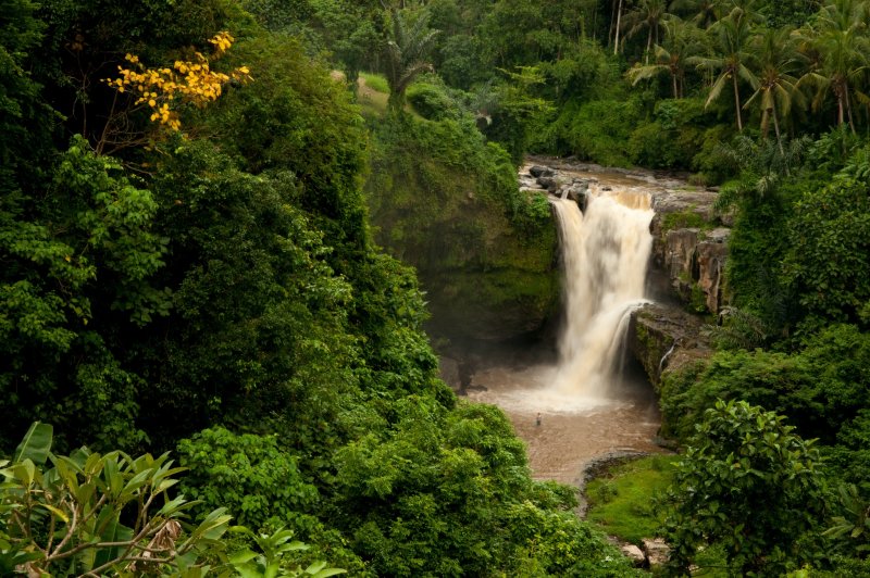 Водопад Тегенунган, Бали, Индонезия