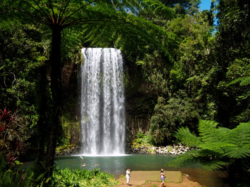 Rainforest водопады