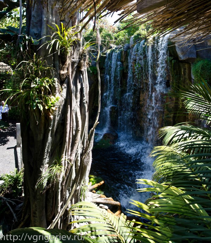 Тропики с водопадом и пальмами