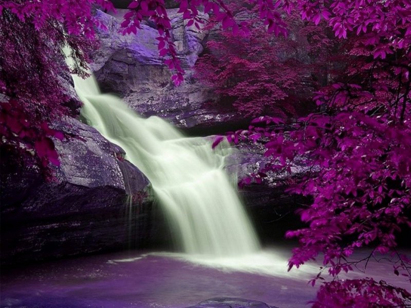 Водопад с розовыми цветами