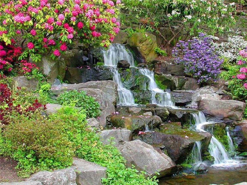 Красивые водопады с цветами
