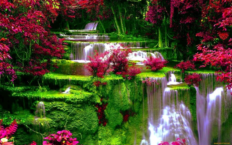 Красивые водопады с цветами