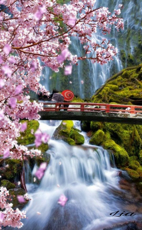 Япония, водопад, Сакура