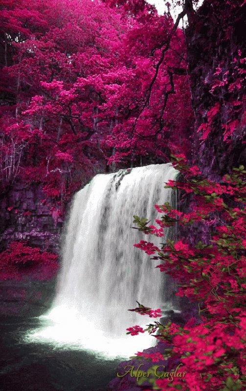 Водопад с розовыми цветами