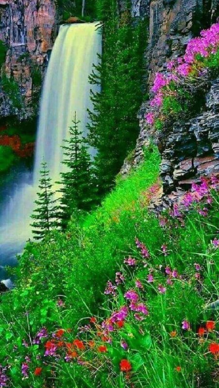 Лето природа водопады